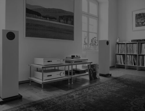 True Signal Audio ( 2 )