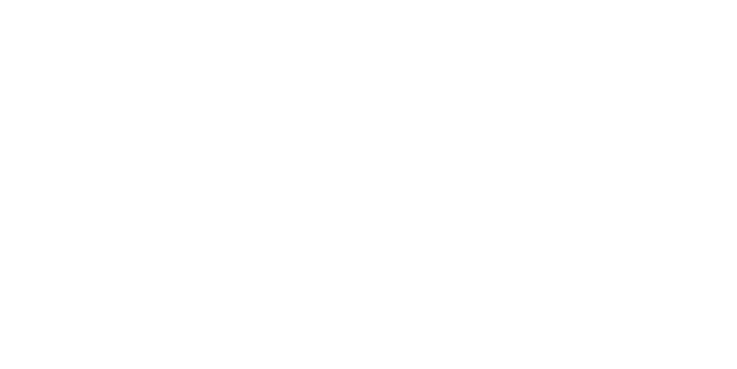 True Signal Audio